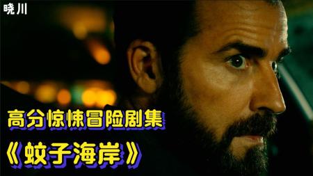 [视]逃亡9年换6次身份，路途艰险可结果心碎！《蚊子海岸》冷门剧集