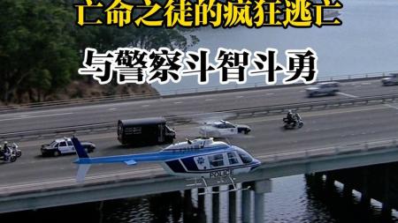 [文]犯罪电影《亡命之计》解说文案