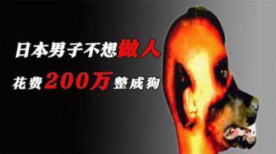 [视]花费200万，只是为了成为一只狗，其因让人无奈！