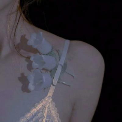 【励志】拿破仑成功名言（拿破仑最震撼十句名言）