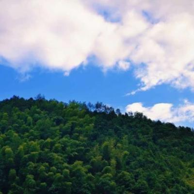 【正能量】对女朋友的情话正能量句子（给女朋友的情话暖心话大全）