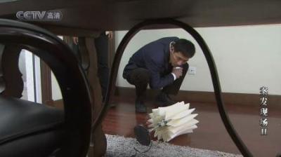 [视]案发现场：燕双鹰重返案发现场，竟完整复述了杀人全过程，厉害了