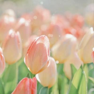 【伤感】伤感签名句子简短霸气（好听的签名句子简短个性伤感）