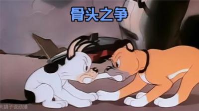[视]小鸡经过两只狗数轮的骚扰，最终还是向它们妥协