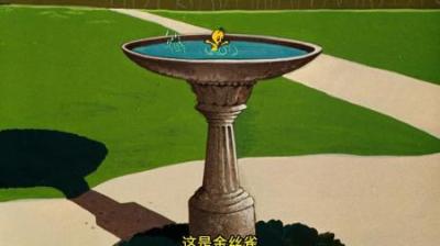 [视]世界上最美味的鸟类#怀旧动画 #童年经典动画片 #动画