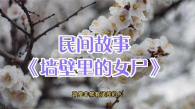 墙壁里的女尸 下[附音频]
