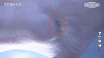 [视]案发现场：法医鉴定师解剖男尸体，一看这个部位，就知道死亡原因