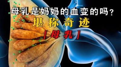 [视]母乳是***血变的吗？其产生过程堪称奇迹！