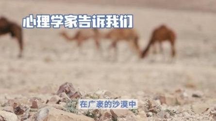 【课程】李民杰江健勇 心理洞察术 奸的好人15册全6套视频教程