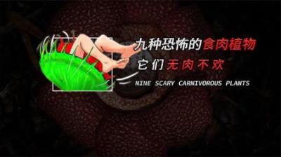 [视]九种自然界中的食肉植物，它们无肉不欢，你见过几种