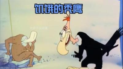 [视]两只秃鹰因饥饿展开殊死对决，你觉得他们最后会鹿死谁手？