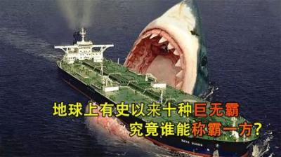 [视]地球上十种体型巨大的动物，曾经称霸一方，最一种会就此消失吗？