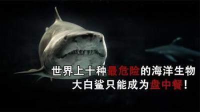 [视]世界上十种最危险的海洋生物，每一种都能一击毙命，你见过几种呢