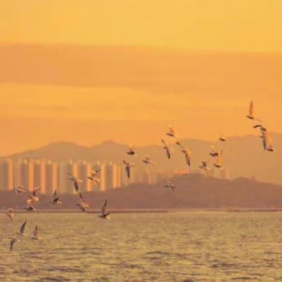 【哲理】旅行青蛙五一文案怎么写（旅行青蛙经典文案）