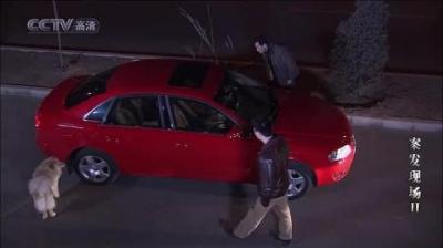 [视]案发现场：路边停了一辆奥迪，狗却在车附近乱叫，刑警发现不对劲