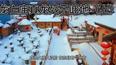第1514集 真龙死于此地 上[附音频]