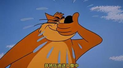 [视]摸鱼的老猫被一只啄木鸟毁掉了一生