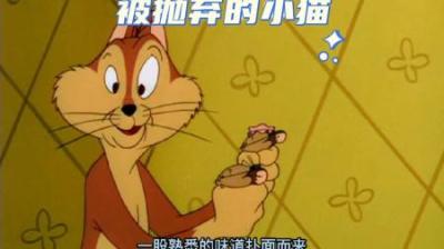 [视]一只小猫被狠心丢弃，好在他遇到了好心的鼠妈妈才能快乐的成长