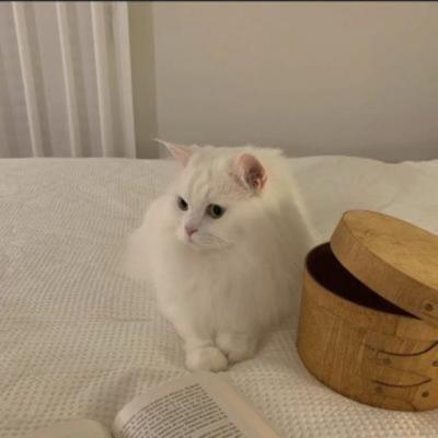 【爱情】女孩子要爱情的文案（女孩子和女孩子的感情文案）