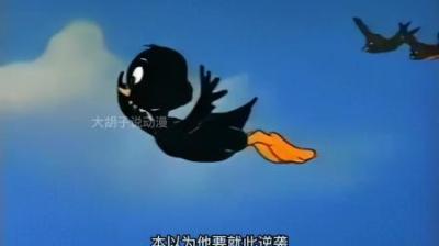 [视]小黑鸭经过不懈努力土鸭变凤凰，在空中自由的翱翔