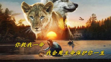 [文]家庭电影《狼与狮子》解说文案解说素材