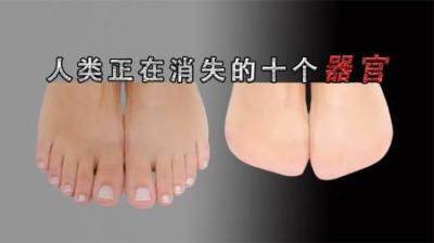 [视]人类正在消失的10个器官，它们都去哪里了？你的还在吗？