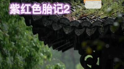 第1152集 紫红色胎记 2[附音频]