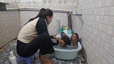 第1002集 床下的衣服[附音频]