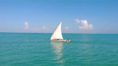 树上有张脸 4[附音频]