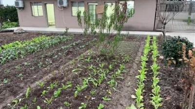 第1083集 租房 下[附音频]