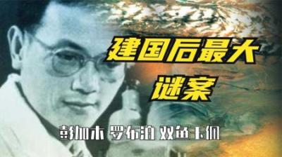 [视]尼克松访华带来神秘装备震惊所有人，却加快我国通信卫星研究步伐