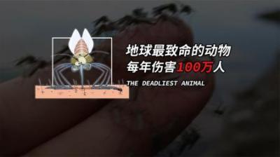 [视]每年约100万人因它而丧命，它究竟有何作用？那为何不把它灭掉？