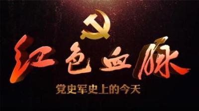 [视]毛主席领导的艺术，八大军区司令员调动，主席对邓公说了哪两句话