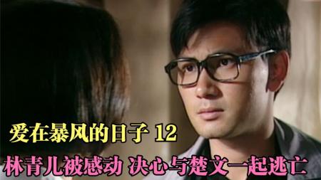 [文]港剧解说《爱在暴风的日子》（12）林青儿被感动，决定与楚文逃亡