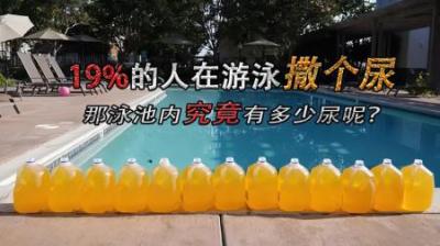 [视]19%的人在游泳池撒过尿，泳池内究竟含多少尿呢？#游泳池