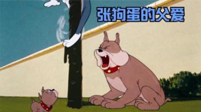 [视]张狗蛋为了让儿子成为一只合格的狗，把汤姆折磨的几近崩溃