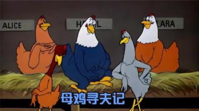 [视]你知道在公鸡匮乏的时代，母鸡想找个老伴有多难吗？