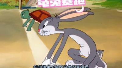 [视]你知道兔子输掉比赛的真正原因吗？#童年经典动画片 #怀旧动画