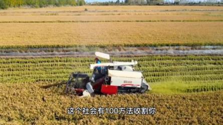 2023知识IP变现营-课程-网盘资源分享