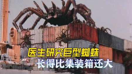 [文]恐怖《蜘蛛灾2》电影解说文案