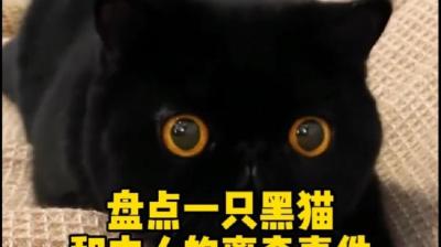 第1861集 一只会冷笑的黑猫 上[附音频]