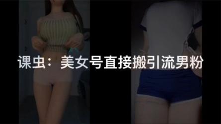 60个视频吸粉10w＋，2023下半年全新流量密码3D美女号新玩法-课程-网盘资源分享