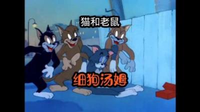 [视]汤姆为了吃掉可口的麻雀，竟不惜偷走细狗的发型