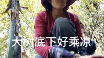 2023最新抖音短视频全套教程-课程-网盘资源分享