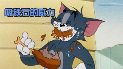 [视]汤姆猫和小金豆互相栽赃陷害，最后谁也没能逃过颠沛流离的命运