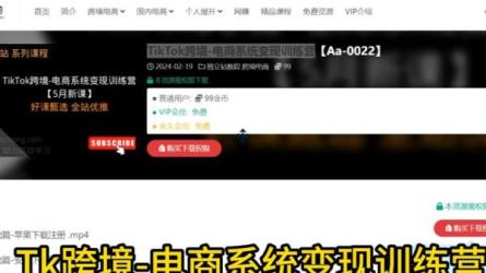 11天视频号变现训练营课程-课程-网盘资源分享