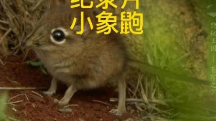 20.6T纪录片大全集（包含古今中外）-课程-网盘资源分享