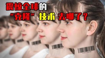 [视]为什么现在很少提到“克隆”了？看完多利羊的一生，或许你会明白