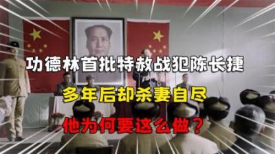 [视]功德林首批特赦战犯陈长捷，多年后却杀妻自尽，他为何也这么做？