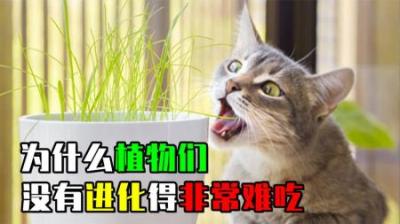 [视]如果进化论是对的，为什么植物不进化得更难吃？果实还是香甜的？